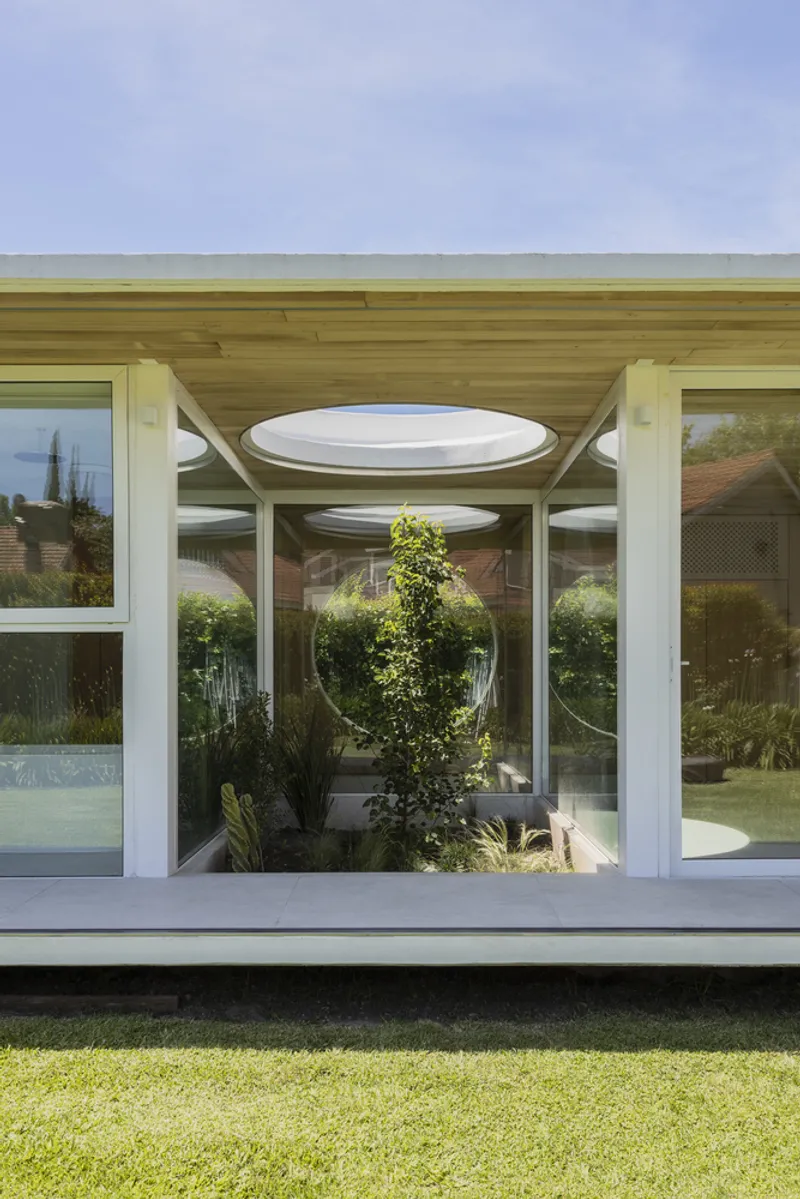 Glazed entrance pavilion with circular skylight framing a planted courtyard tree under timber ceiling