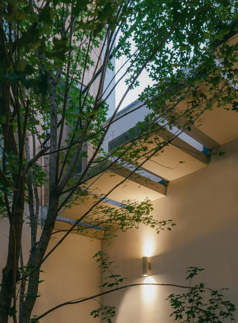 Courtyard wall with recessed uplighting illuminating a tree at dusk beneath cantilevered upper floors