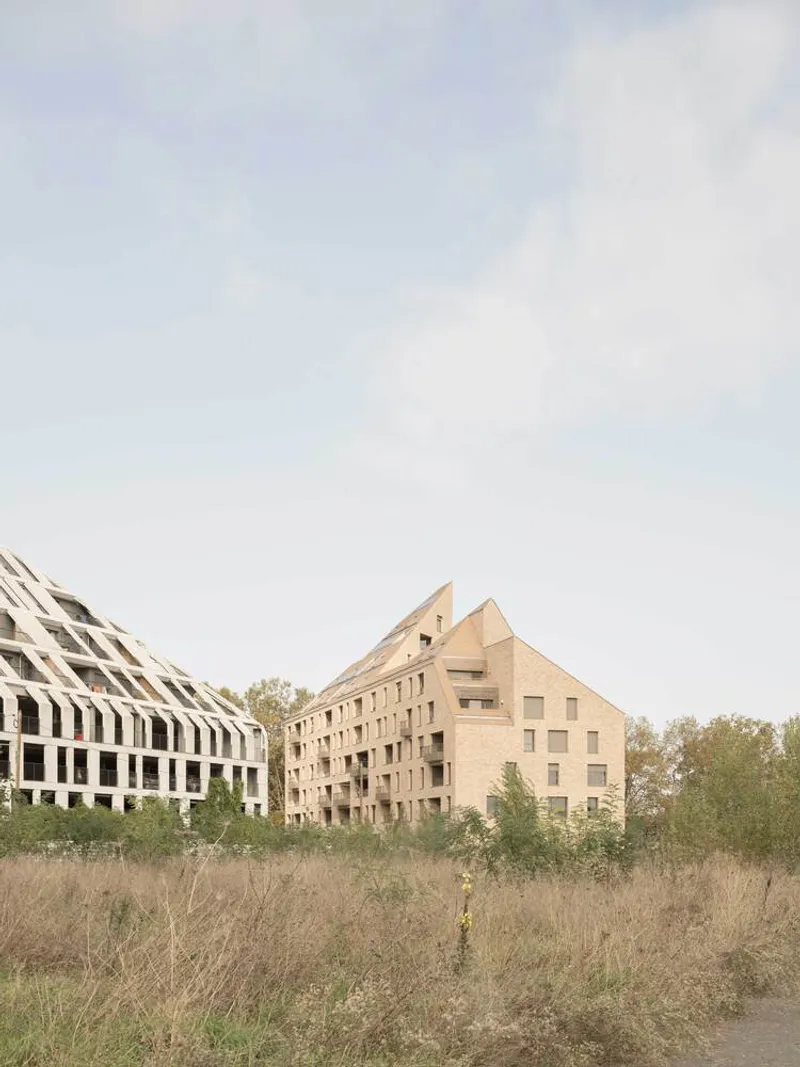 Gabled brick housing blocks rising above dry grassland with sparse vegetation in autumn
