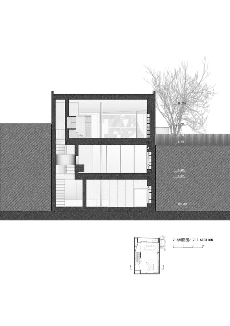 Section drawing showing three-level interior with double-height spaces and adjacent bare tree