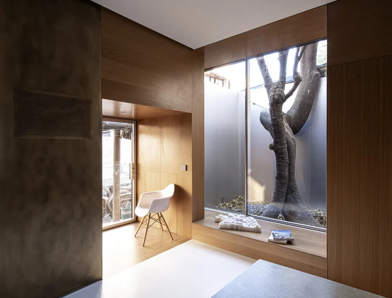 Timber-lined alcove with glazed courtyard window framing a mature tree trunk against a white wall