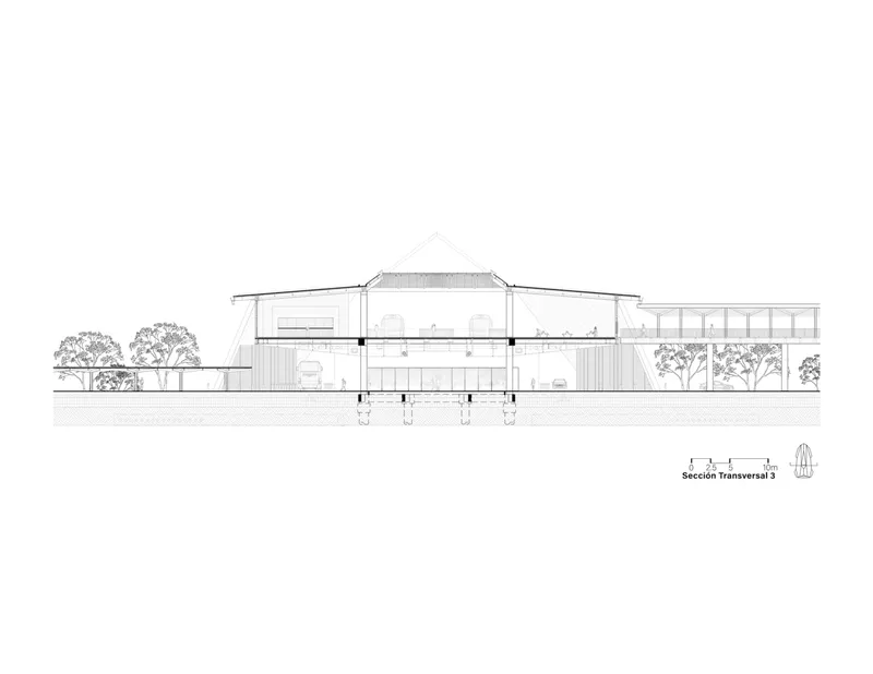 Transverse section drawing depicting asymmetric roof forms with central pitched volume and adjacent trees