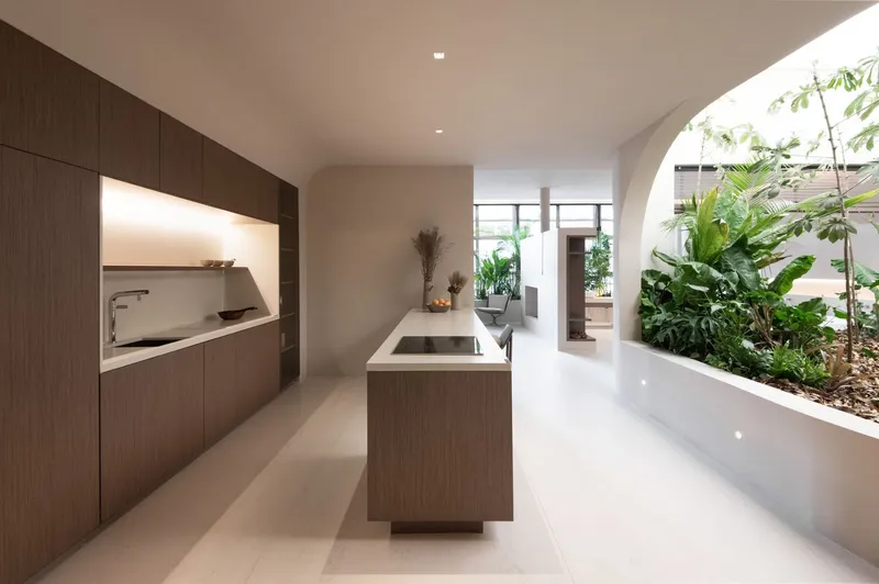 Kitchen with timber cabinetry and island beside a raised planted bed with ferns and palms