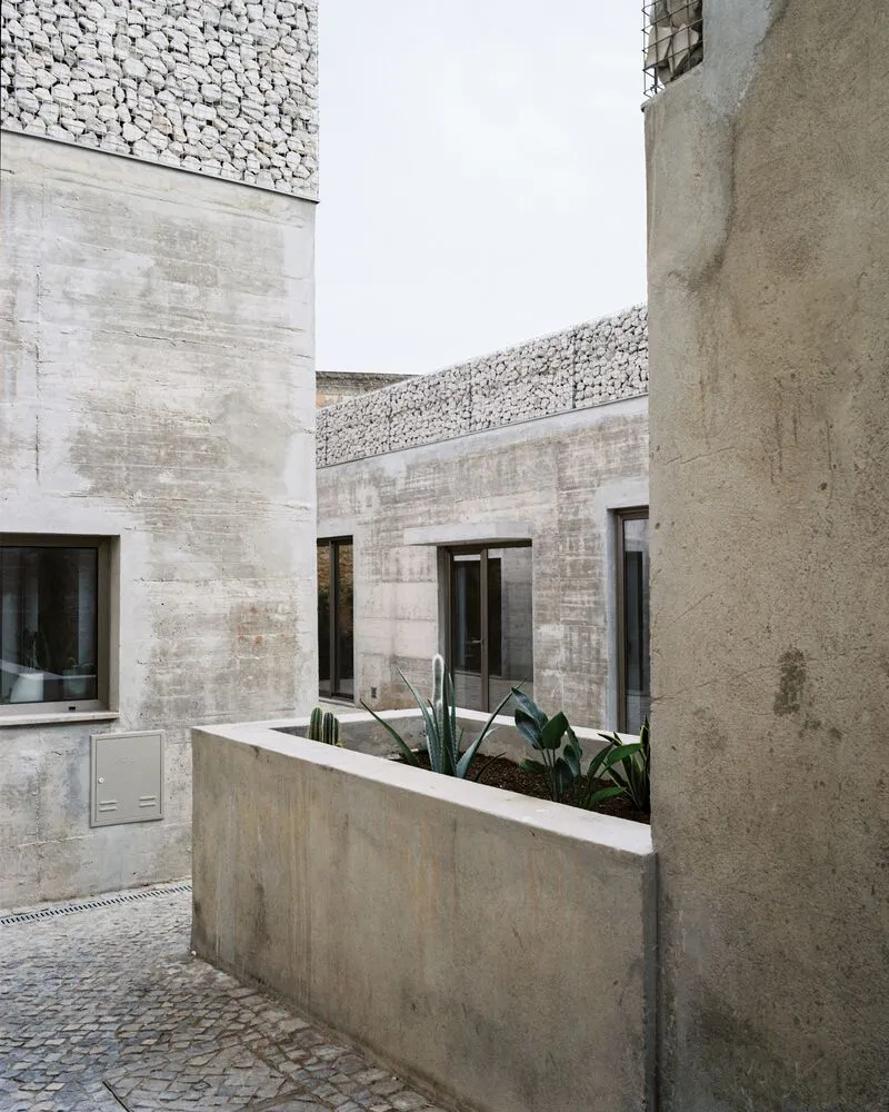 Concrete planter with tropical plants framed by board-formed concrete walls and gabion infill above