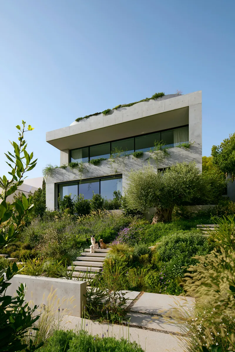 Terraced garden with stone steps and native plantings ascending toward the cantilevered concrete volumes
