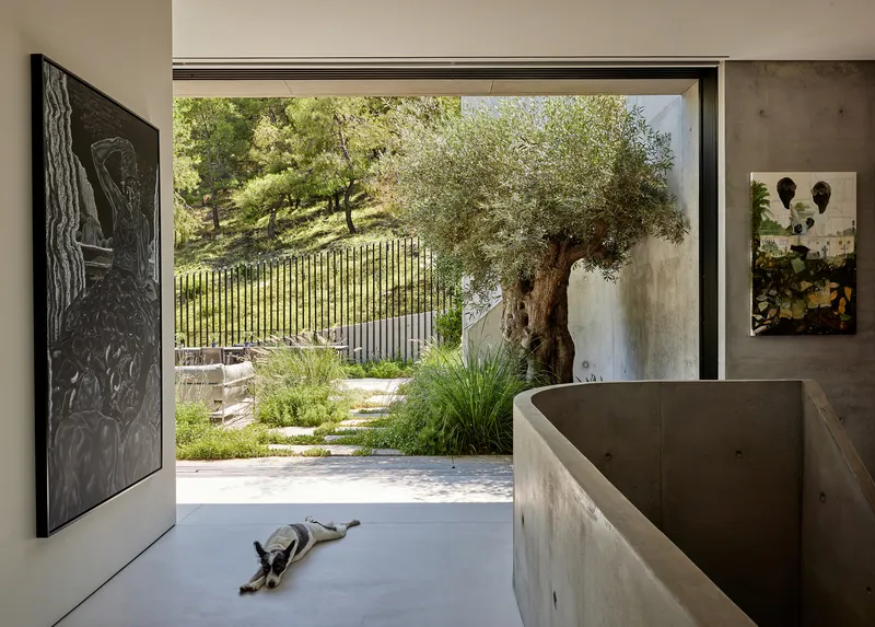 Entry foyer with curved concrete wall and a dog resting on polished floor near garden view