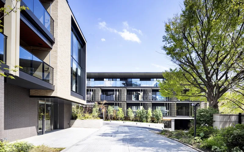 Shared courtyard connecting two residential volumes with planted beds and a deciduous tree