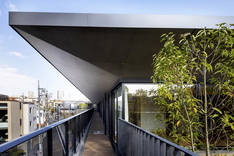 Covered exterior walkway with cantilevered concrete soffit and timber screening beside potted bamboo