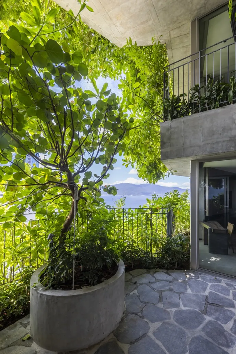Planted terrace with circular concrete planter, flagstone paving and climbing vines on concrete framework above
