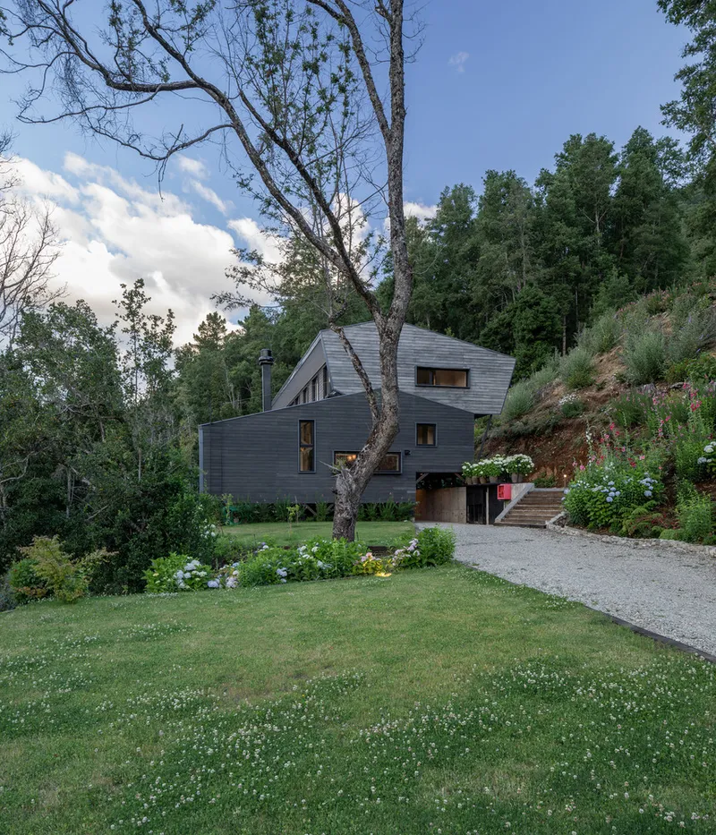 Dark-clad facade with angled roof volumes viewed from the lawn with a bare tree in foreground