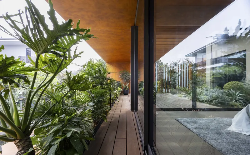 Exterior walkway with timber decking alongside planted beds of palms and grasses under eaves