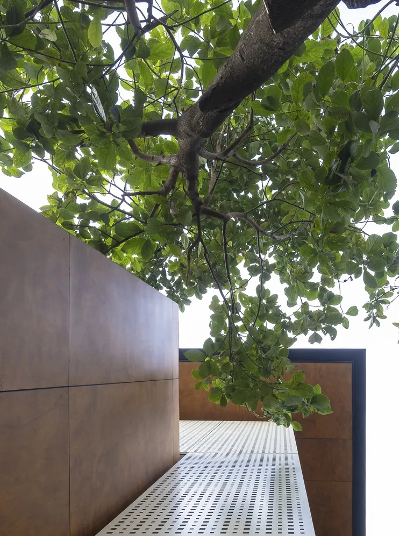Perforated metal walkway beneath tree canopy with timber wall panels framing a passage beyond
