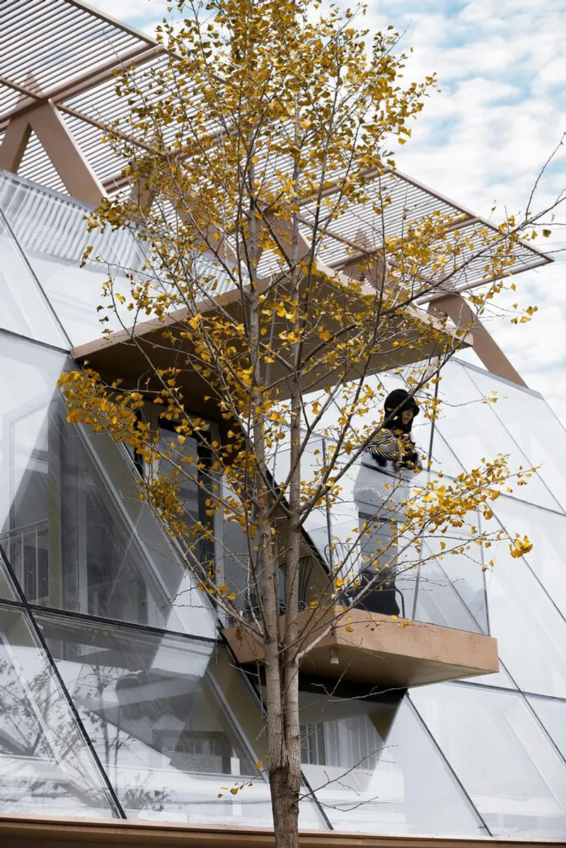 Cantilevered balcony beside a deciduous tree with yellow autumn leaves against the glazed facade