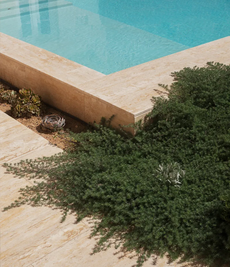 Pool edge detail with limestone coping and low ground-cover planting between paving joints