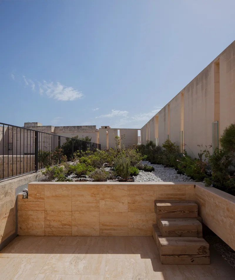 Rooftop terrace with raised planted beds and timber colonnade parapet in afternoon light