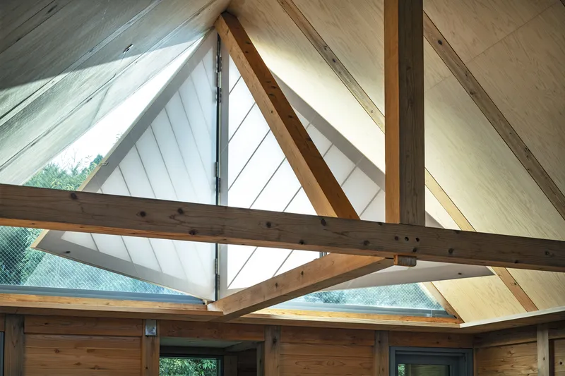 Exposed timber roof trusses and plywood panels framing a triangular skylight with greenery visible outside