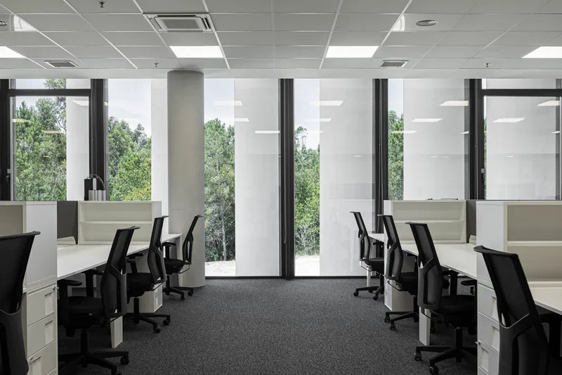 Open office with workstations facing vertical panel windows framed by concrete column and greenery beyond