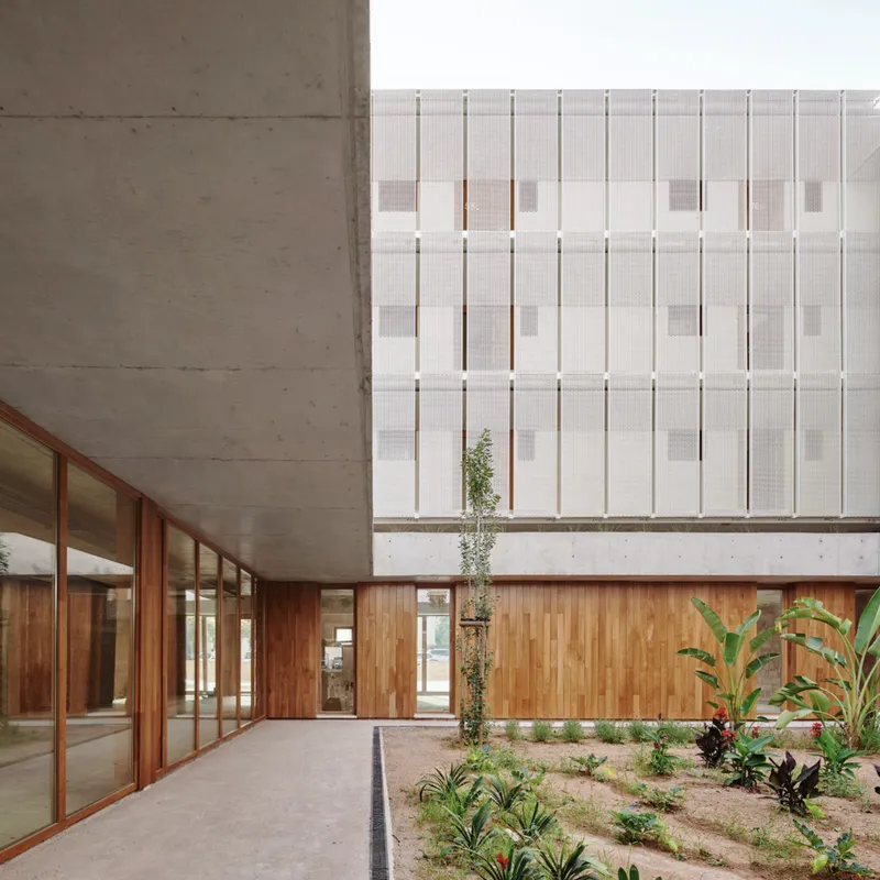Interior courtyard with concrete soffit, timber cladding, and planted garden bed with banana leaves