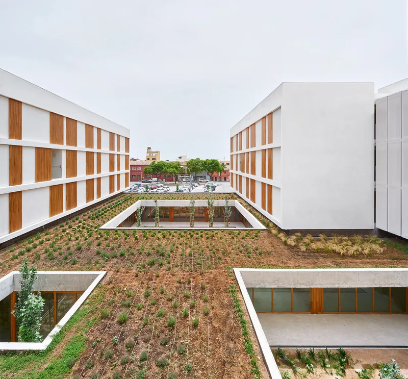 Planted roof terrace with low vegetation between white residential volumes under an overcast sky