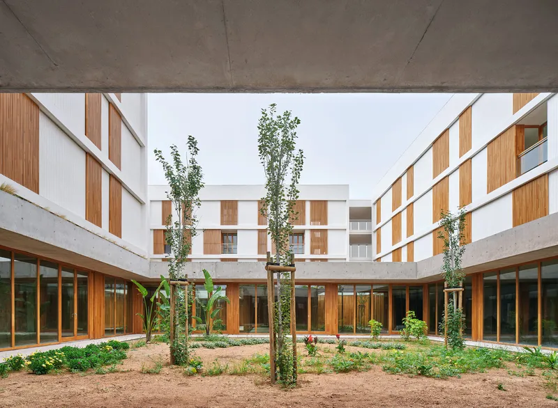 Central courtyard framed by concrete slabs with timber-clad facades and young trees planted in bare earth
