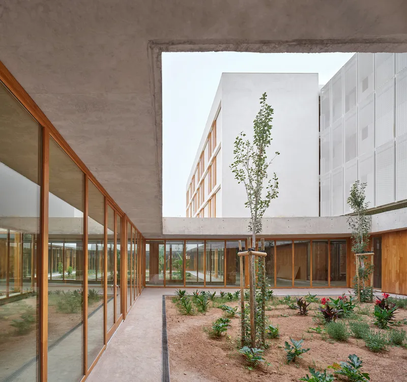 View across the planted courtyard to the white facade with vertical timber shutters under an overcast sky