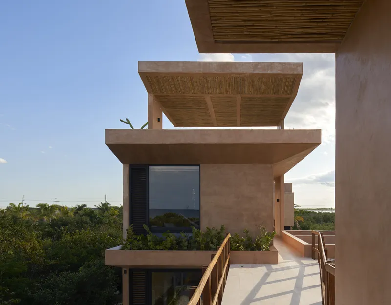 Stacked terraces with timber soffit ceilings and planted beds overlooking coastal vegetation at dusk