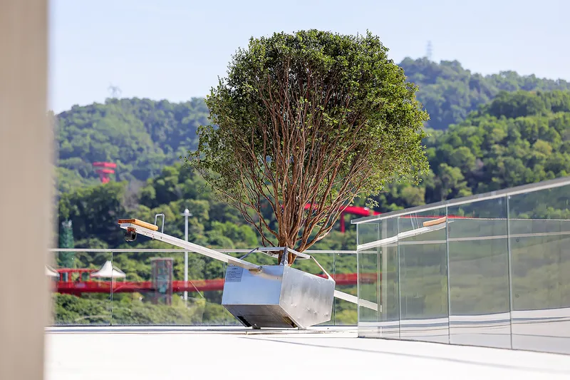 Rooftop terrace with metal planter box containing a mature tree beside glass balustrade panels and hillside backdrop