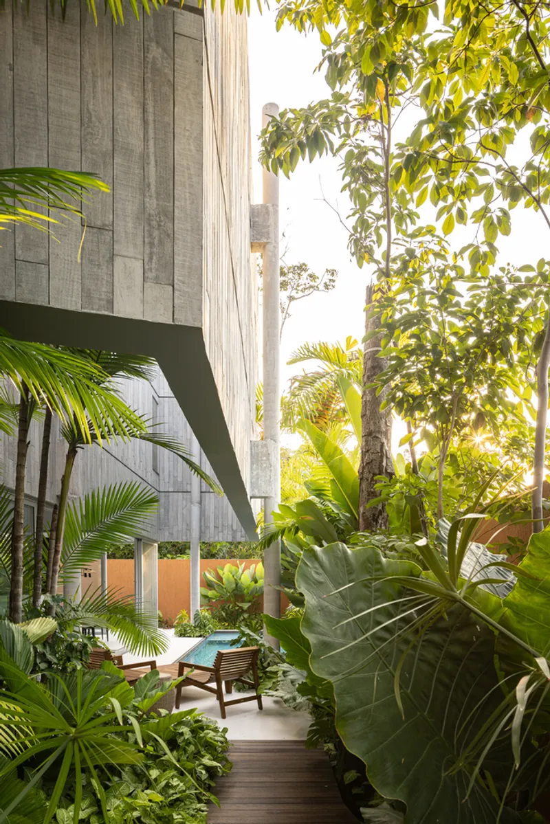 Courtyard view through palms and banana plants at golden hour with cantilevered concrete volumes above