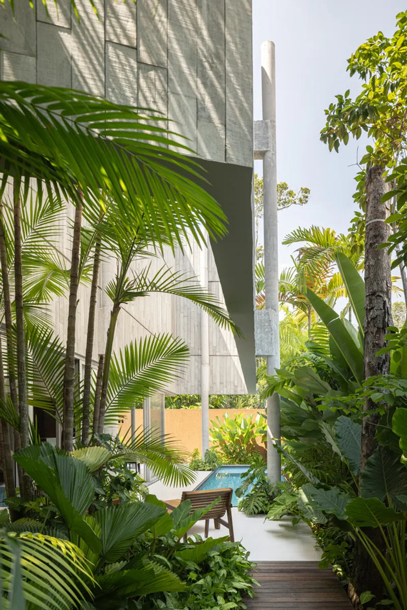 Garden pathway through dense palm foliage leading toward the pool and concrete structure