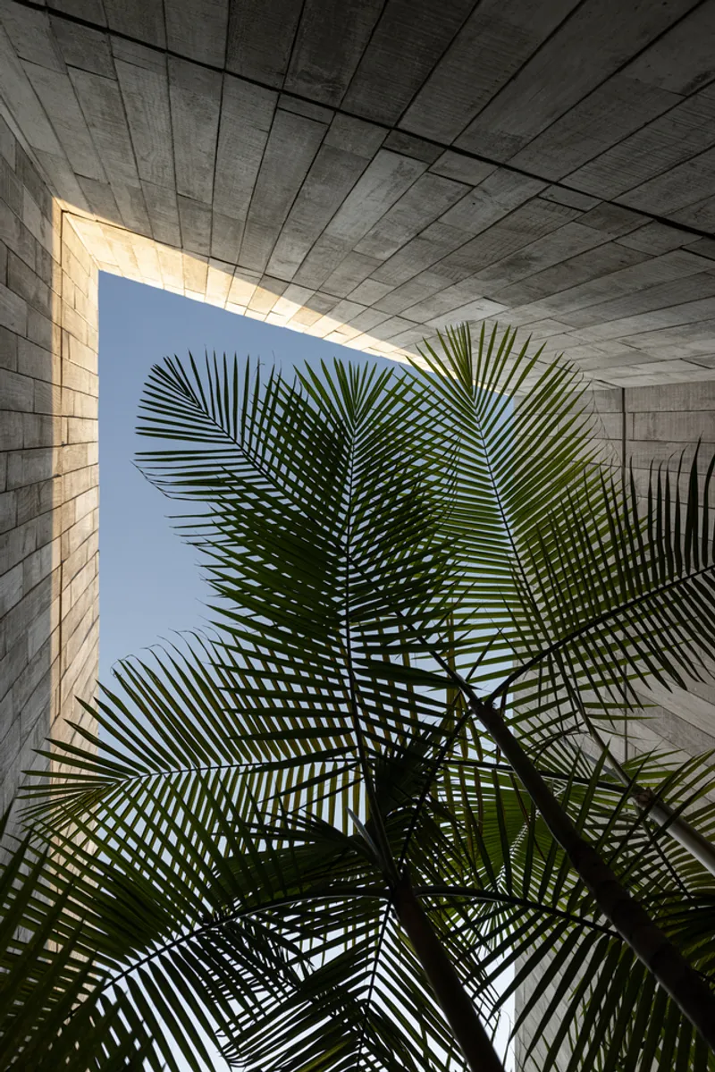 Upward view through a rectangular lightwell with concrete block walls framing palm fronds and sky