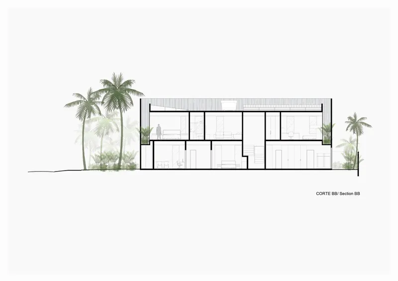 Building section drawing revealing two-story interior spaces with flat roof and flanking palm trees