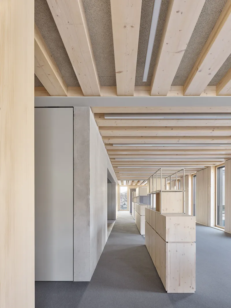 Corridor view with exposed timber beams and acoustic panel ceiling alongside plywood workspace partitions