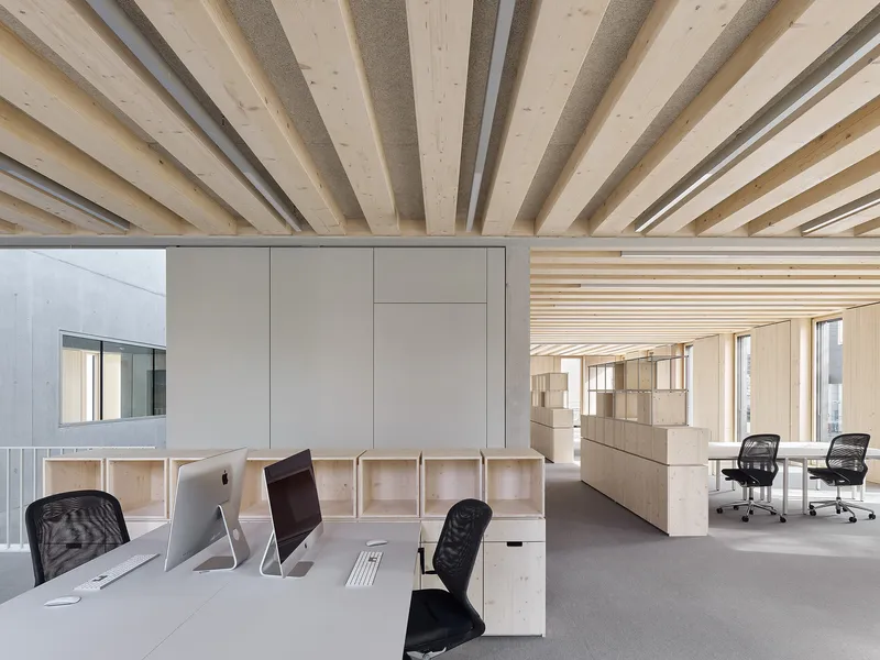 Open office floor with workstations under alternating timber beams and acoustic panels