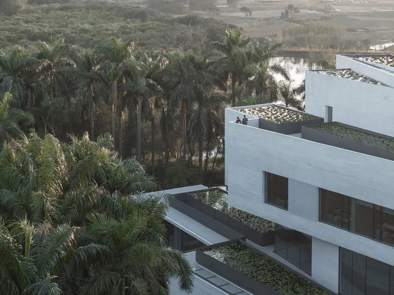 Stacked terraces with planted rooftops overlooking palm groves in soft morning light