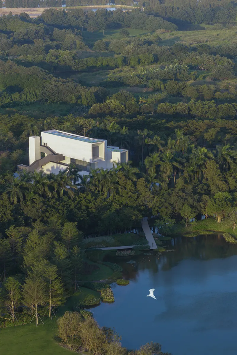 Aerial view of white geometric volumes rising above dense palms and trees beside a small pond