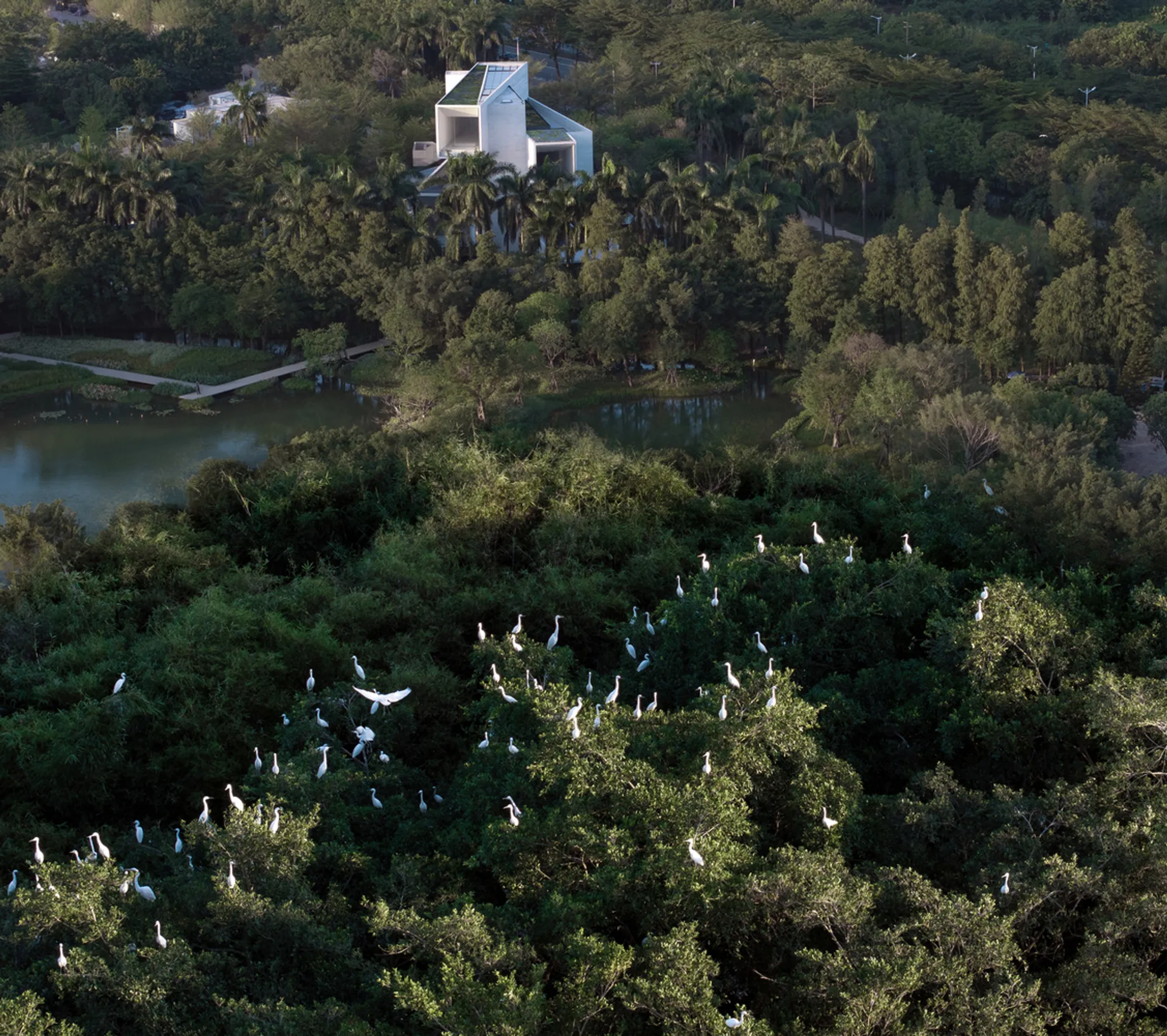 Studio Link-Arc Stacks Concrete Volumes into a Wetland Museum That Mimics Egret Nests