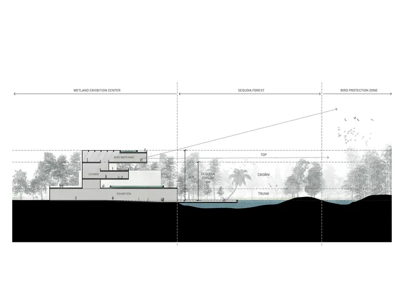 Section drawing showing an exhibition center with underground trunk and water table beneath wetland and sequoia forest zones