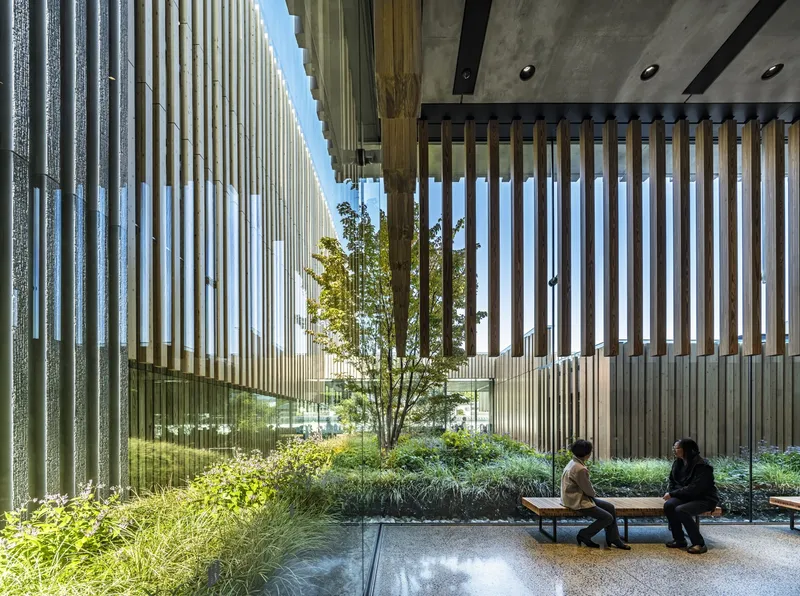 Planted courtyard with vertical wood and metal screens framing visitors on benches