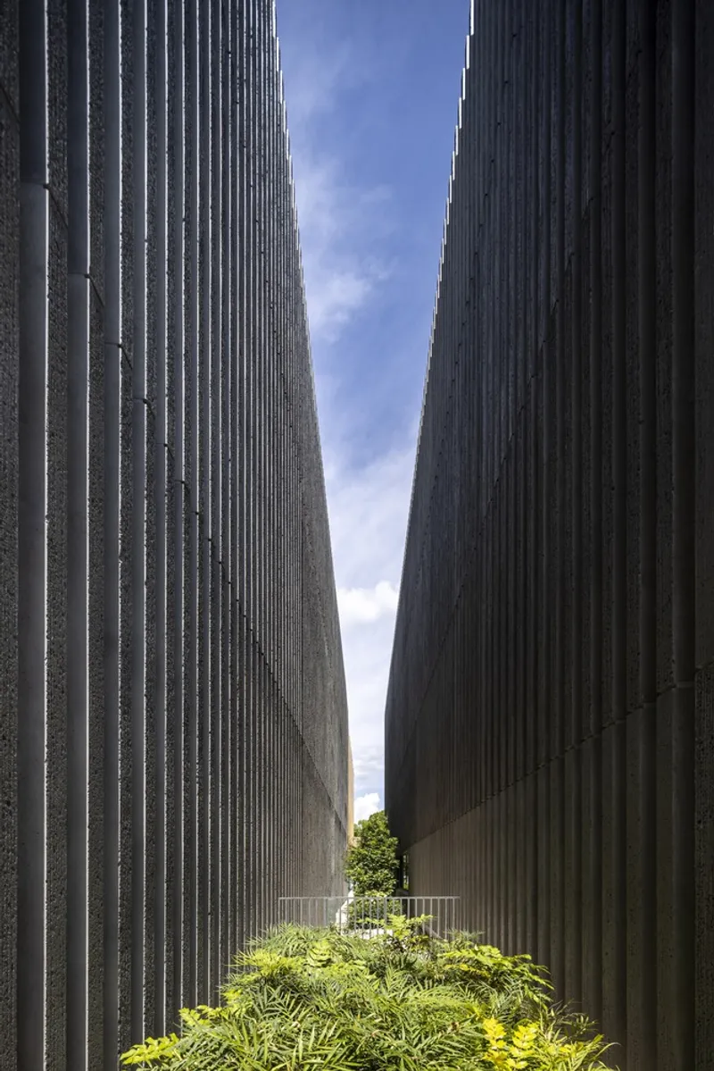 Narrow exterior courtyard between two tall vertically ribbed concrete walls with ferns below and blue sky above