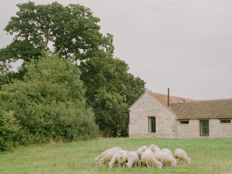 Side view of the barn volume with clay tile roof beside grazing sheep in the meadow