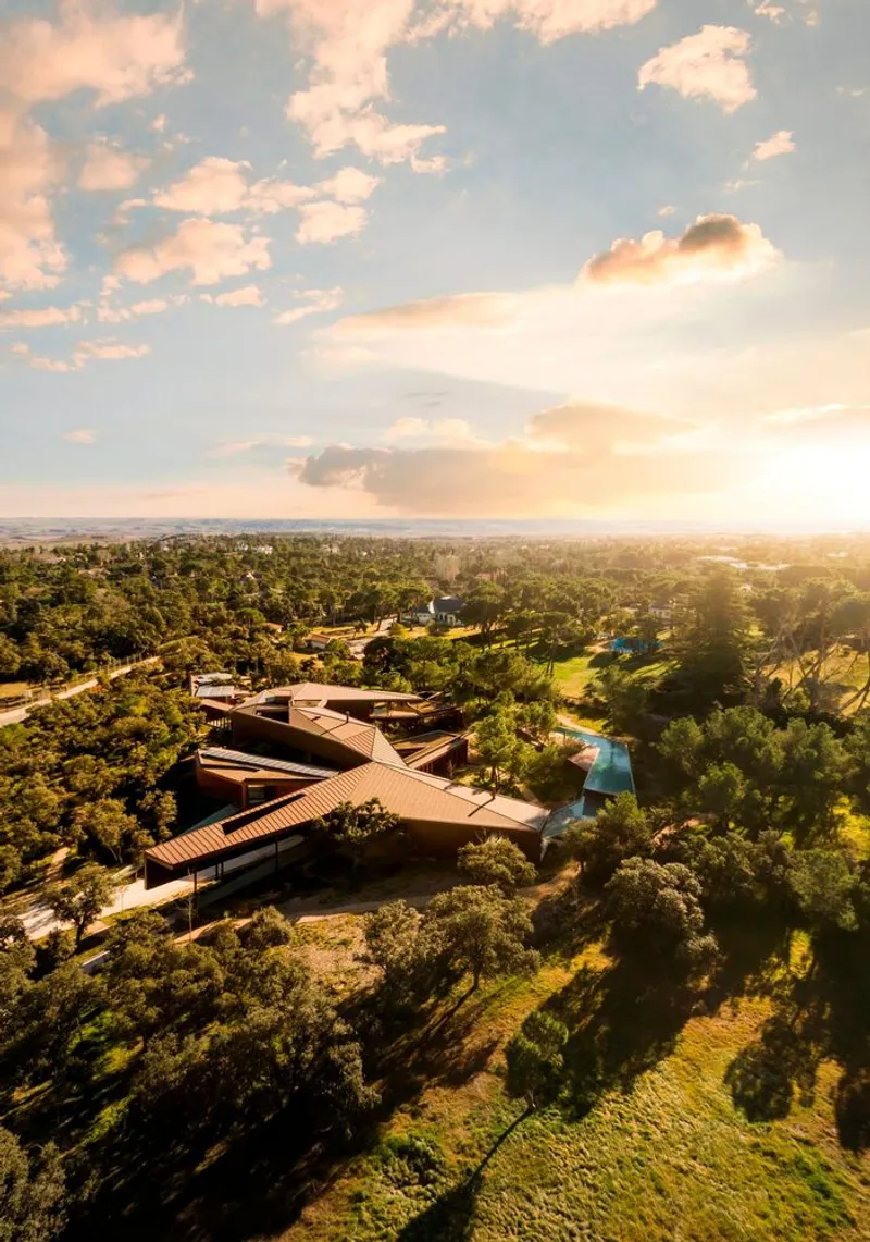 Aerial view of the clustered roof volumes nestled in a dense forest at sunset