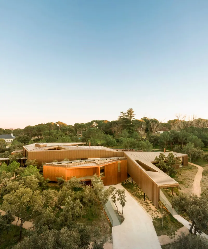 Elevated view of the curved timber and vertical slat wings extending into olive grove at dusk