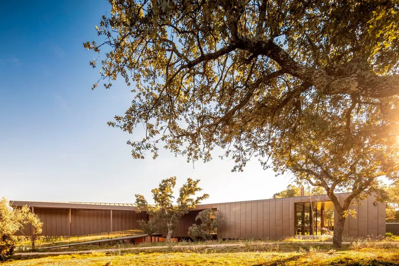 Horizontal timber facade stretching beneath an overhanging oak tree in golden afternoon sunlight