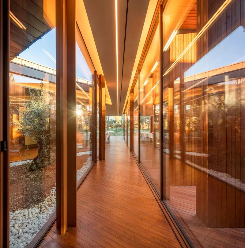 Timber-lined corridor with exposed ceiling beams and glazed walls framing an interior courtyard with planted olive tree
