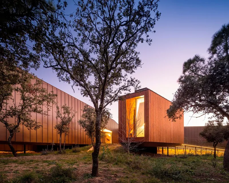Exterior view of timber-clad volumes with tall corner glazing nestled among olive trees at dusk