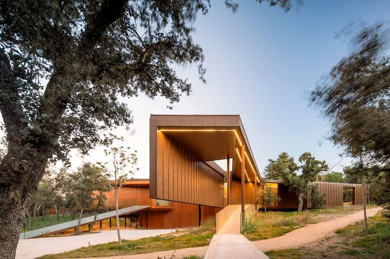 Approach view of the cantilevered entrance canopy with vertical timber cladding framed by mature oak trees