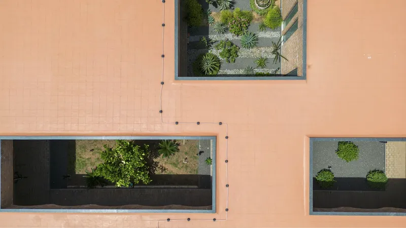 Aerial view of three rooftop openings with planted courtyards visible through the glazed apertures