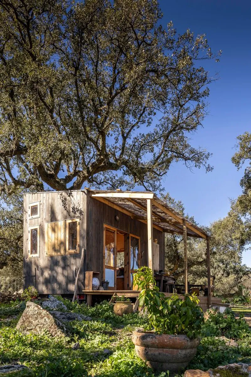 Weathered timber cabin with sloped roof and deck nestled beneath oak trees in garden setting
