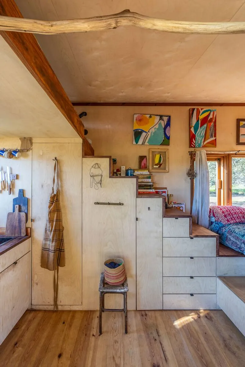 Interior view showing natural branch integrated into vaulted plywood ceiling above stepped storage units