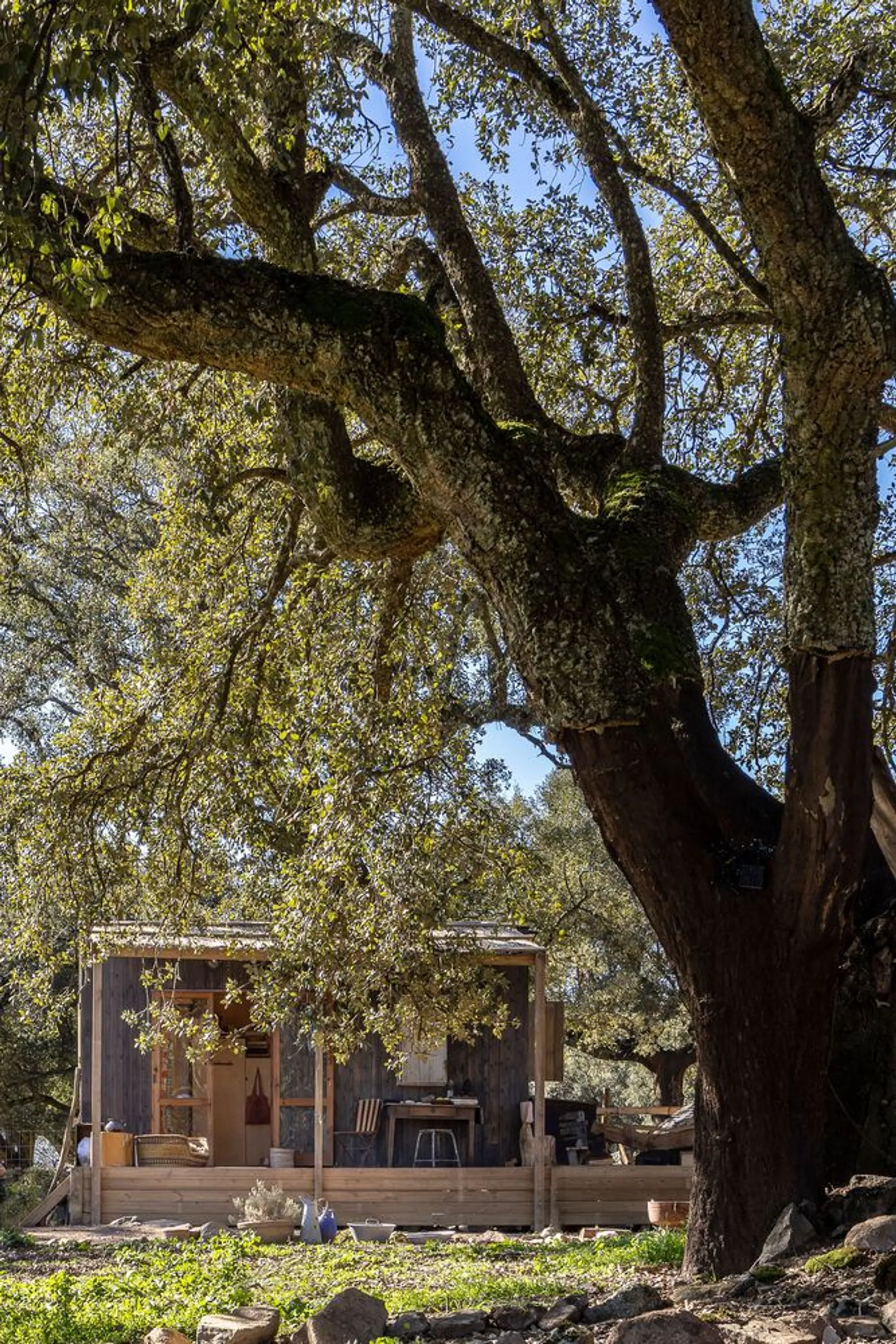 Madeiguincho Tucks a Timber Tiny House Beneath the Oaks of a Portuguese Garden